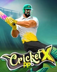 PP6.COM