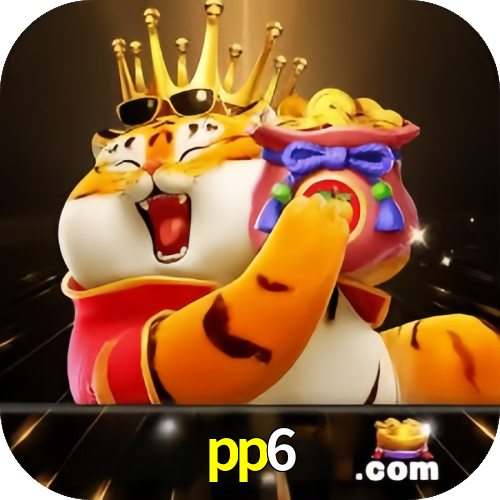 PP6.COM